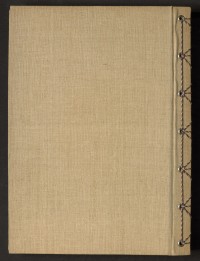 Strona nr 294 w tomie nr 82